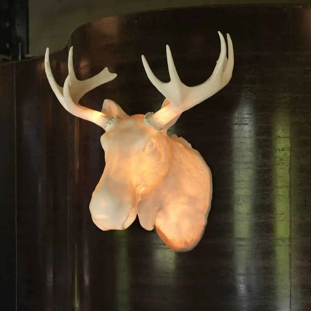 Designer wall light Moo