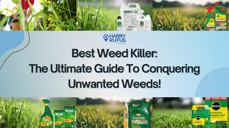 Best Weed Killer: The Ultimate Guide to Conquering Unwanted Weeds!