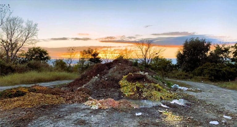 A big Compost pile 733