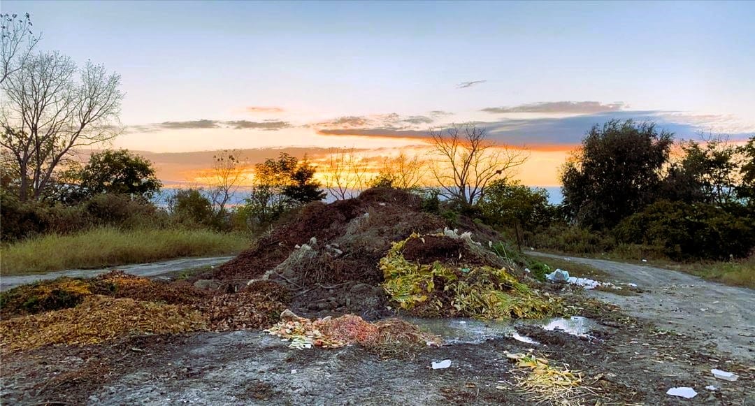 A big Compost pile 733