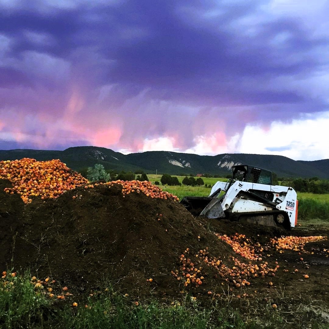 Broad compost pile and a white tractor 731