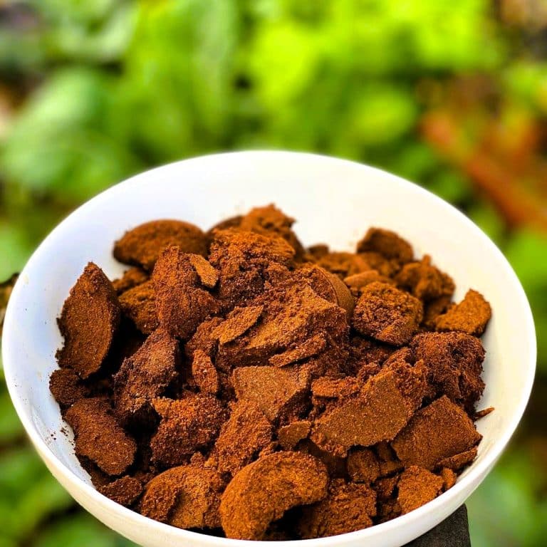 Coffee grounds on a bowl 737