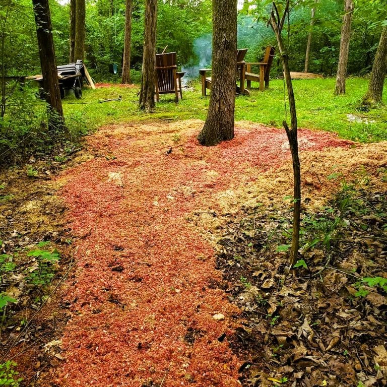 Saw dust after cutting a tree 741